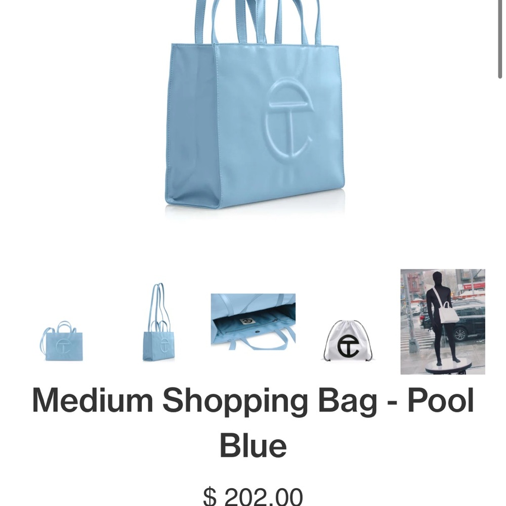 Size medium pool blue telfar bag. Like new.